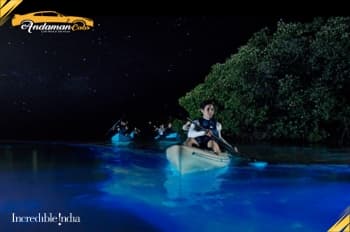 Sunset kayaking at Havelock Island